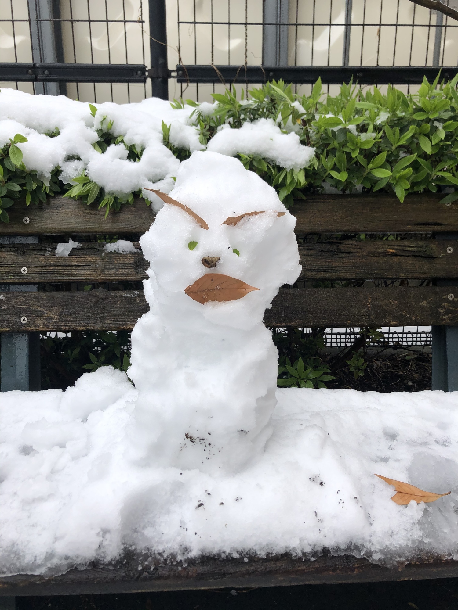 Content_c1e8eeb7-dfe2-44cf-b03b-7ac7a8e65d2d