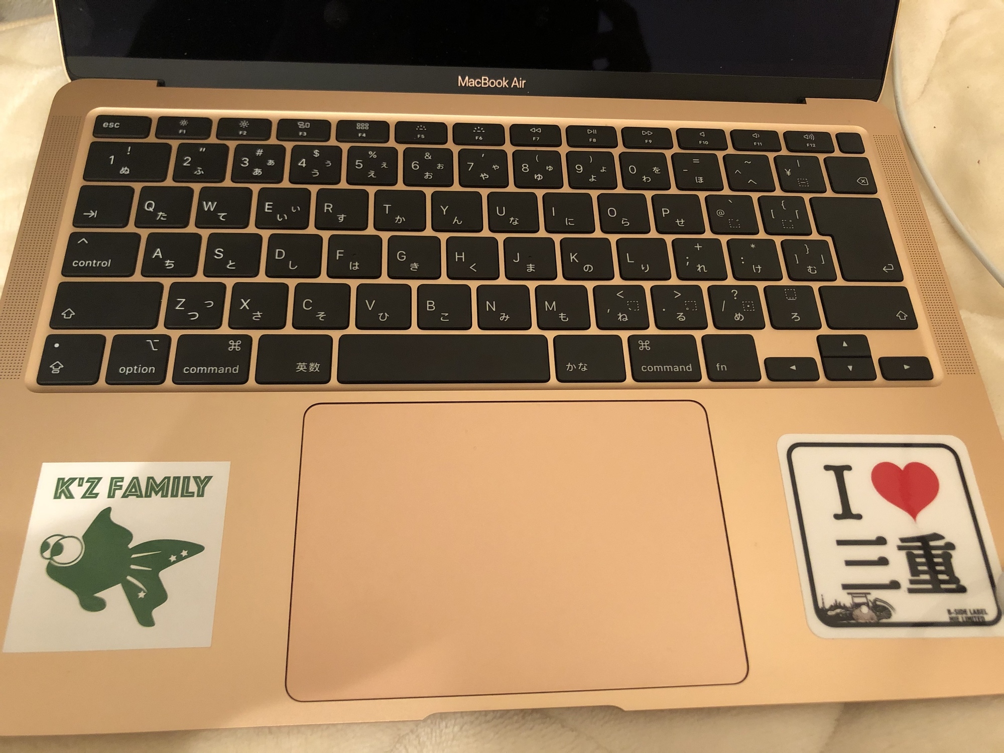 Content_ee50b191-aa45-4858-87c8-c030418f03bc