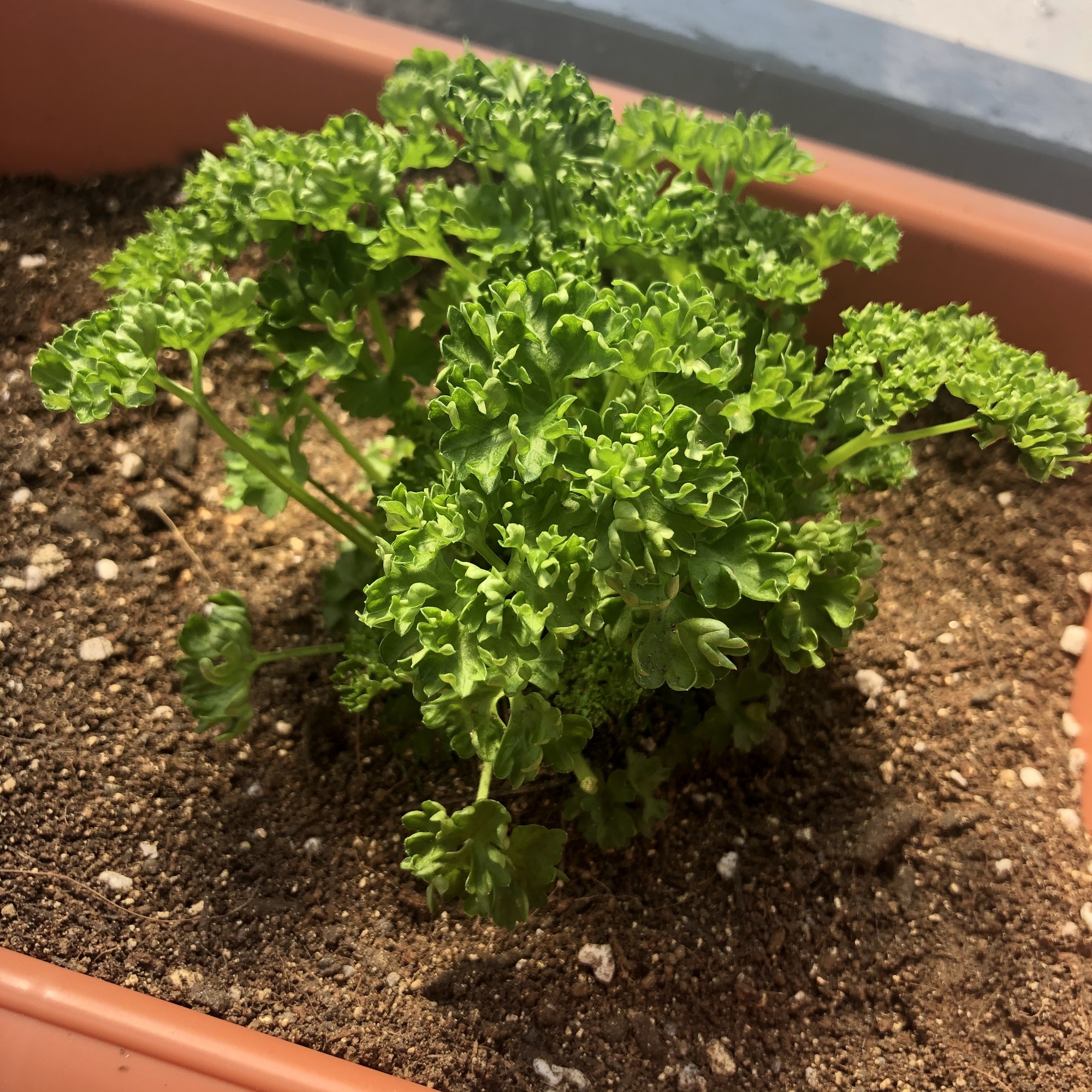 Content_98f969f0-1230-409a-8928-f05475763f23