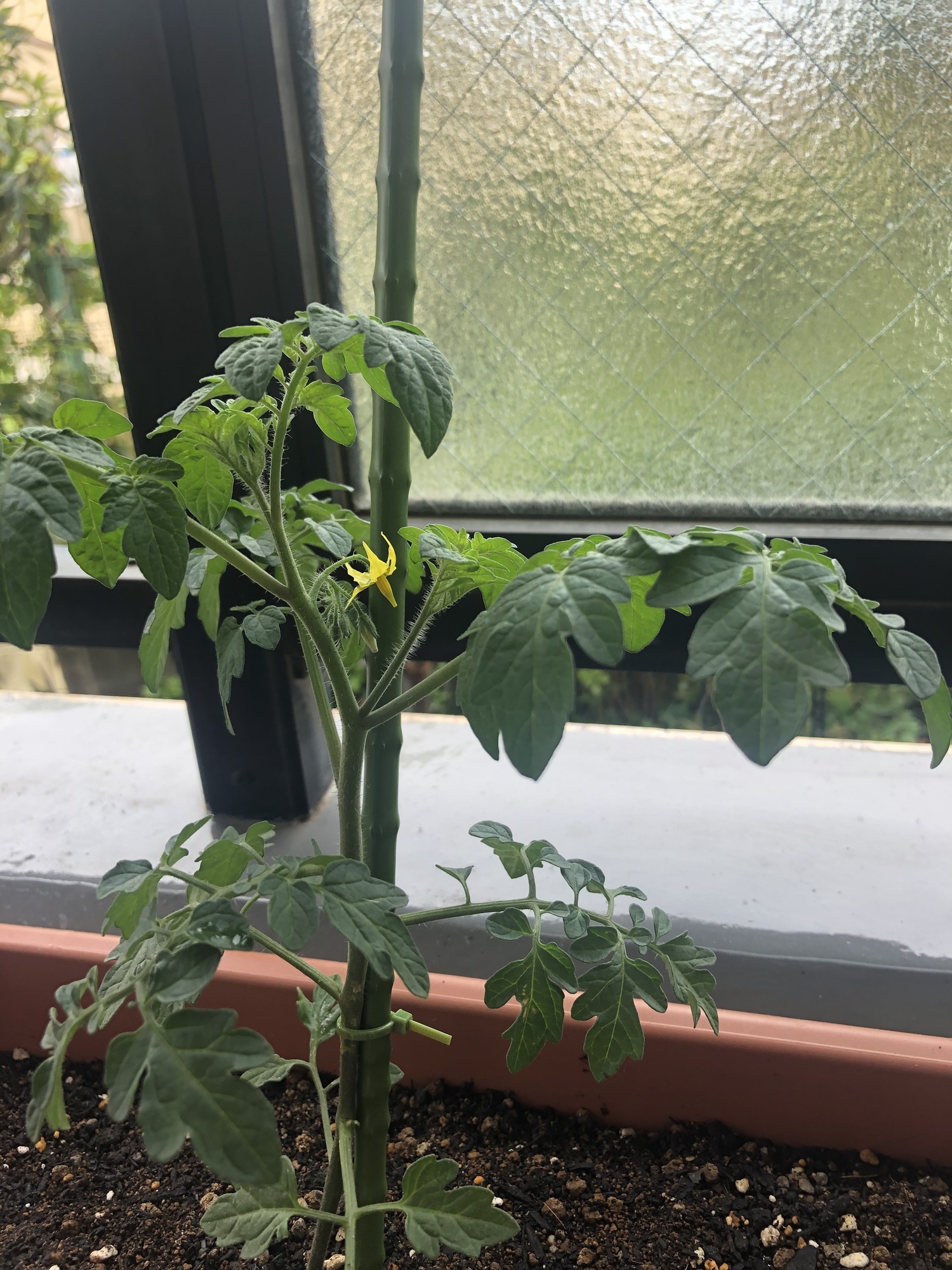 Content_51fca154-6546-489e-8ef8-f94bcdba5ae1