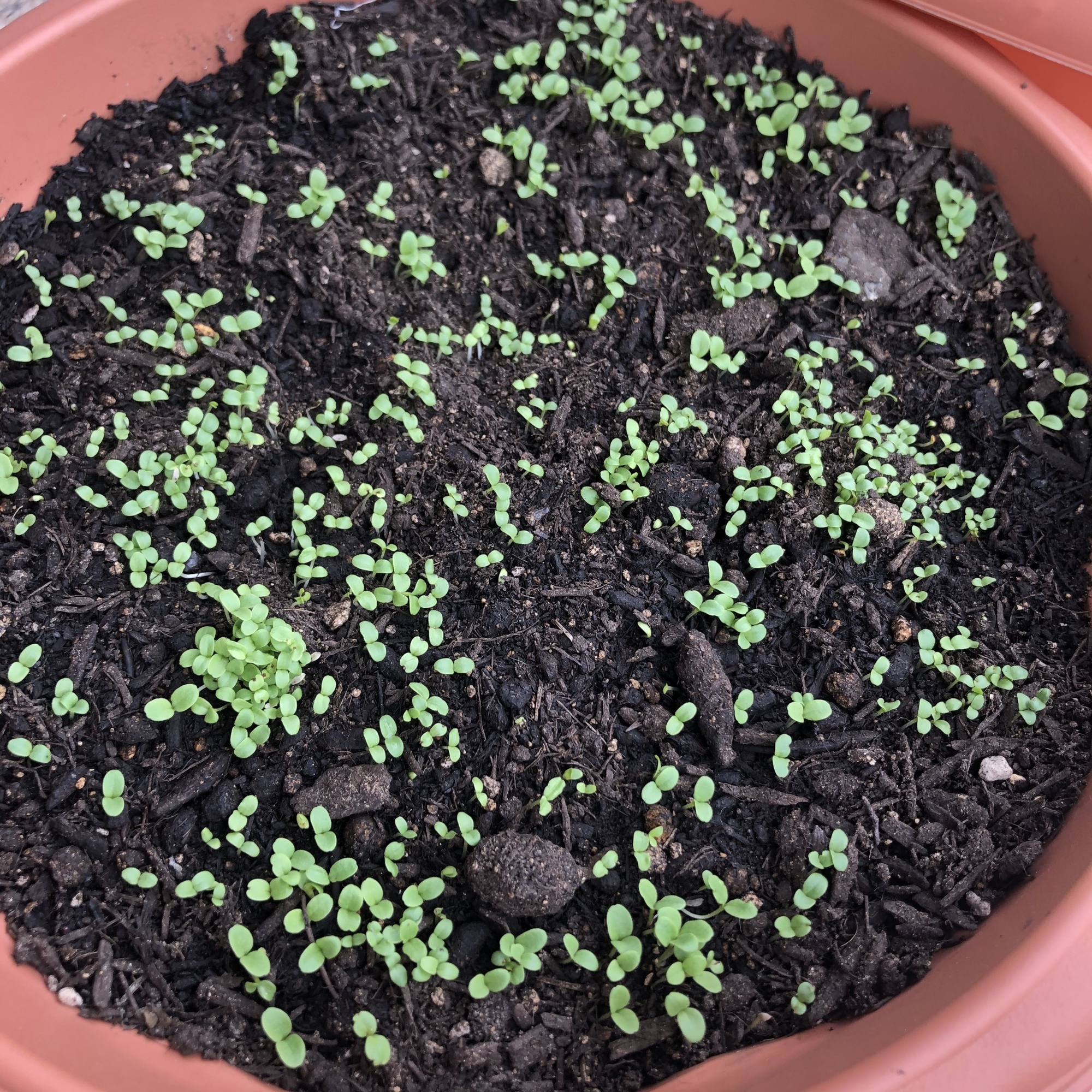 Content_59e1f492-8328-46d8-b8e5-a10827c65364