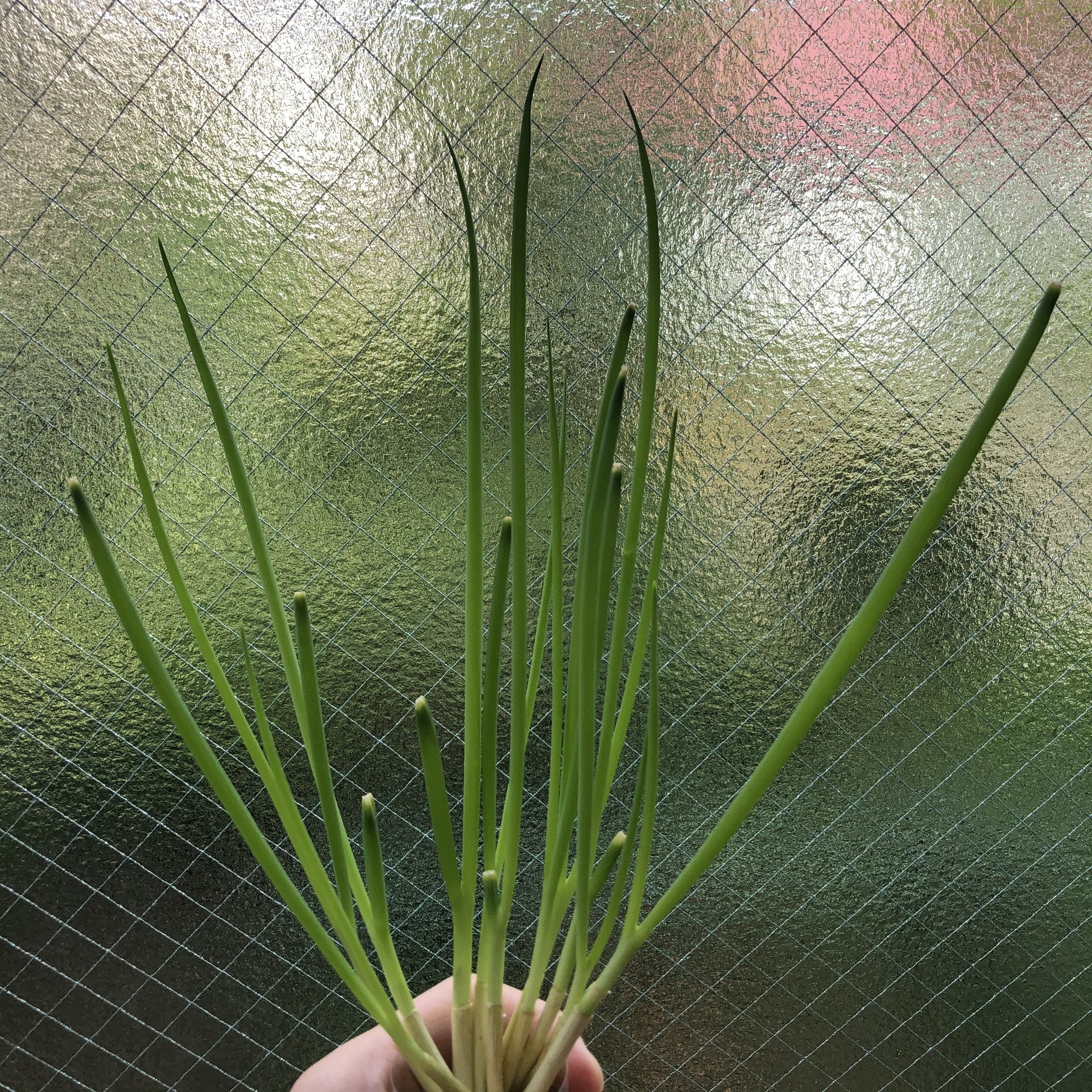 Content_641836d5-f016-477c-a018-53dbbd9afbe4