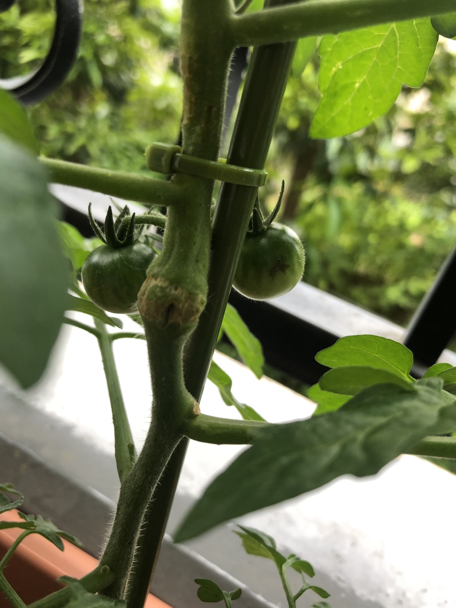 Content_3a29297f-0ab4-4a8f-9293-59307571c16c